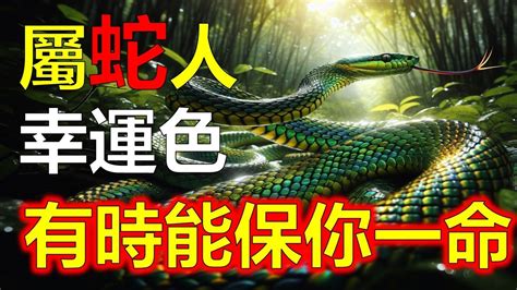 屬蛇適合的顏色|蛇年開運妙招：這些顏色讓你桃花旺盛